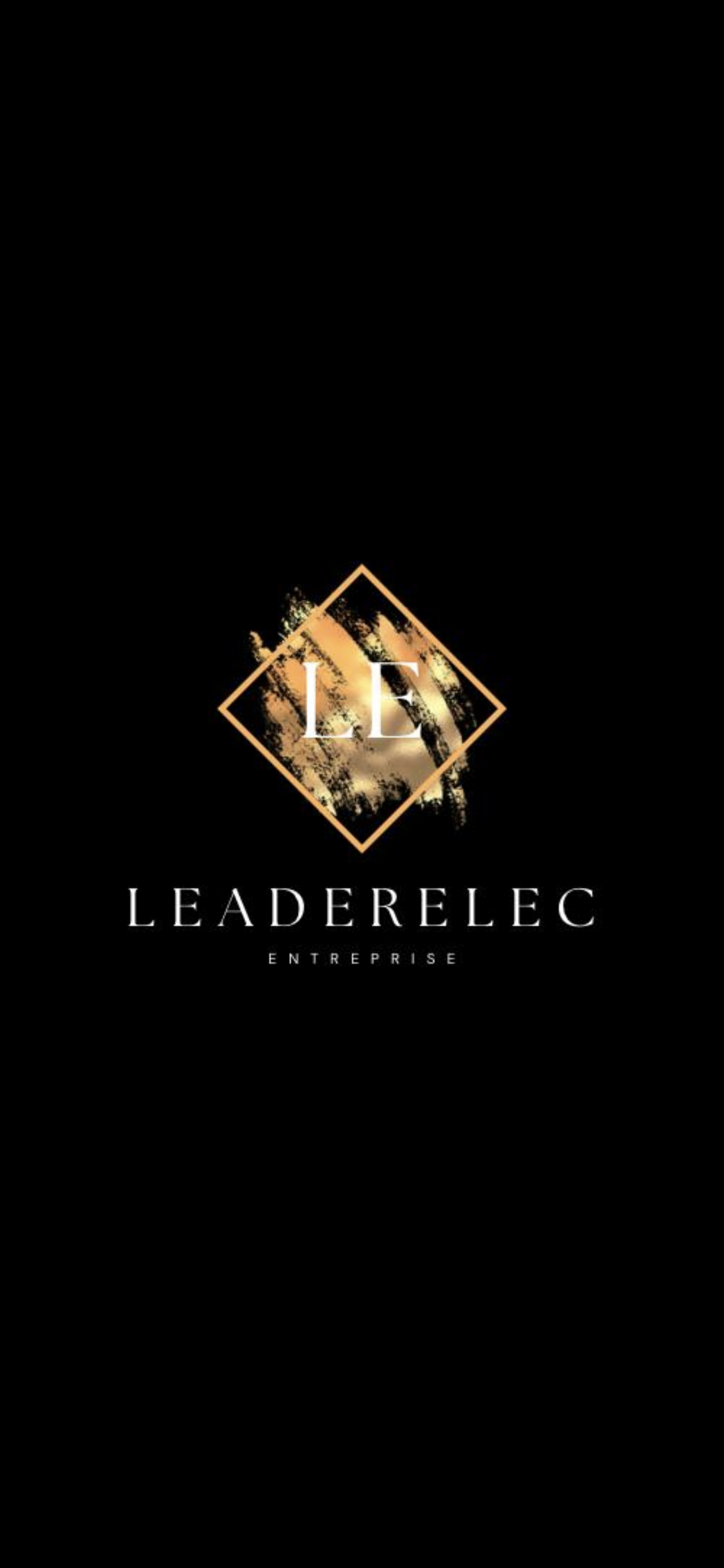 Logo de LEADER ELEC, société de travaux en bâtiment