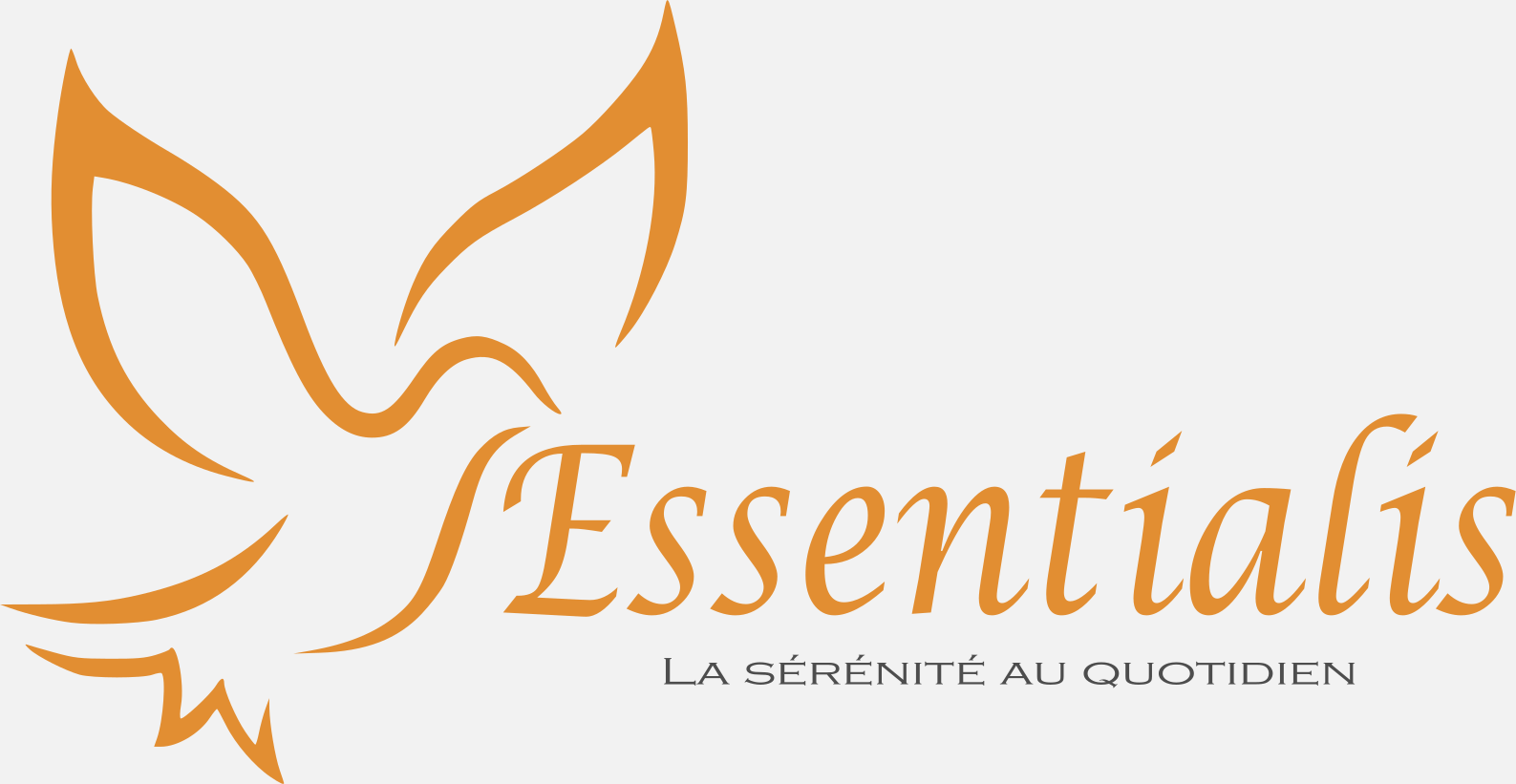 Logo de Essentialis, société de travaux en Création complète de salle de bains