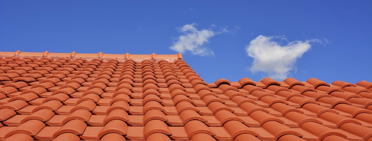 Comment choisir un professionnel pour rénover sa toiture