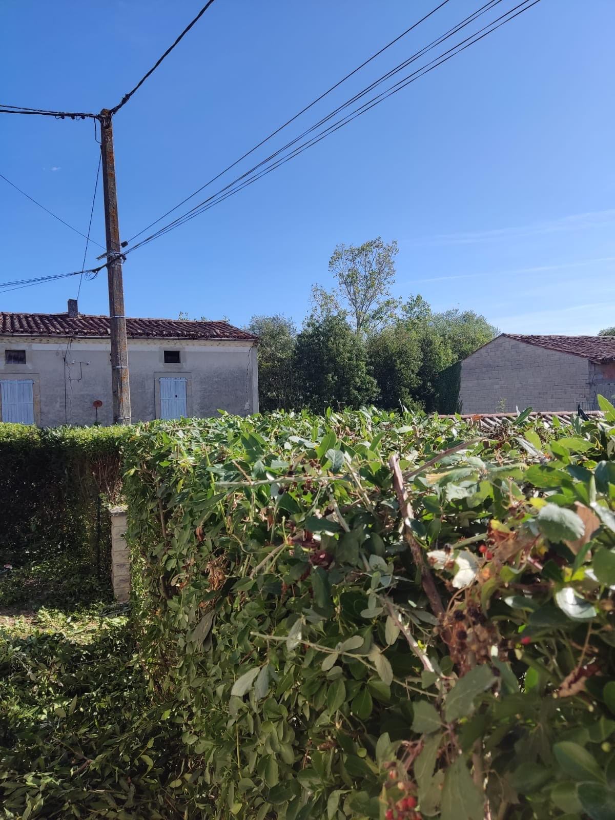 Logo de E2 PAYSAGE, société de travaux en Entretien de jardin (ponctuel ou à l'année)