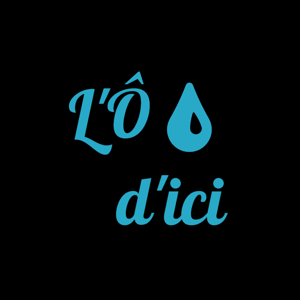 Logo de L'Ô D'ICI, société de travaux en Installation électrique : rénovation complète ou partielle