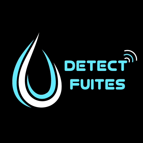 Logo de DETECT FUITES, société de travaux en Dépannage en plomberie : fuite, joints, petits travaux