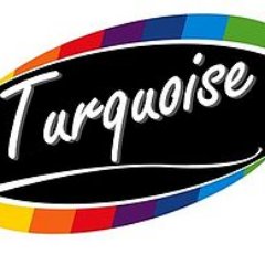 Logo de Turquoise, société de travaux en Travaux de décoration