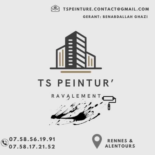 Logo de Ts peinture ravalement, société de travaux en Ravalement de façades