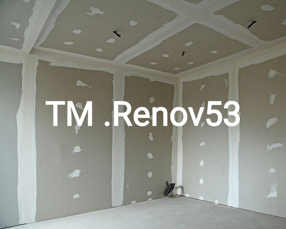 Logo de TM.Renov53, société de travaux en Construction, murs, cloisons, plafonds en plaques de plâtre