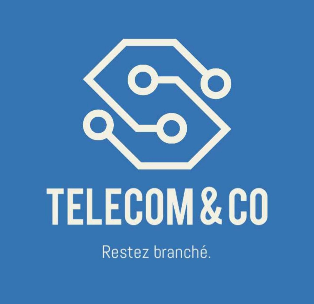 Logo de TÉLÉCOM AND CO, société de travaux en bâtiment