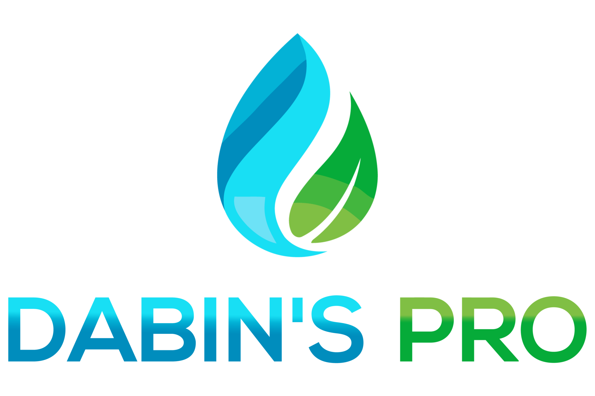 Logo de Dabin's Pro, société de travaux en Nettoyage de copropriété