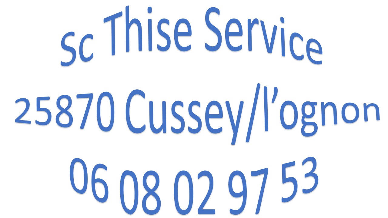 Logo de Sc Thise Service, société de travaux en Entretien de jardin (ponctuel ou à l'année)