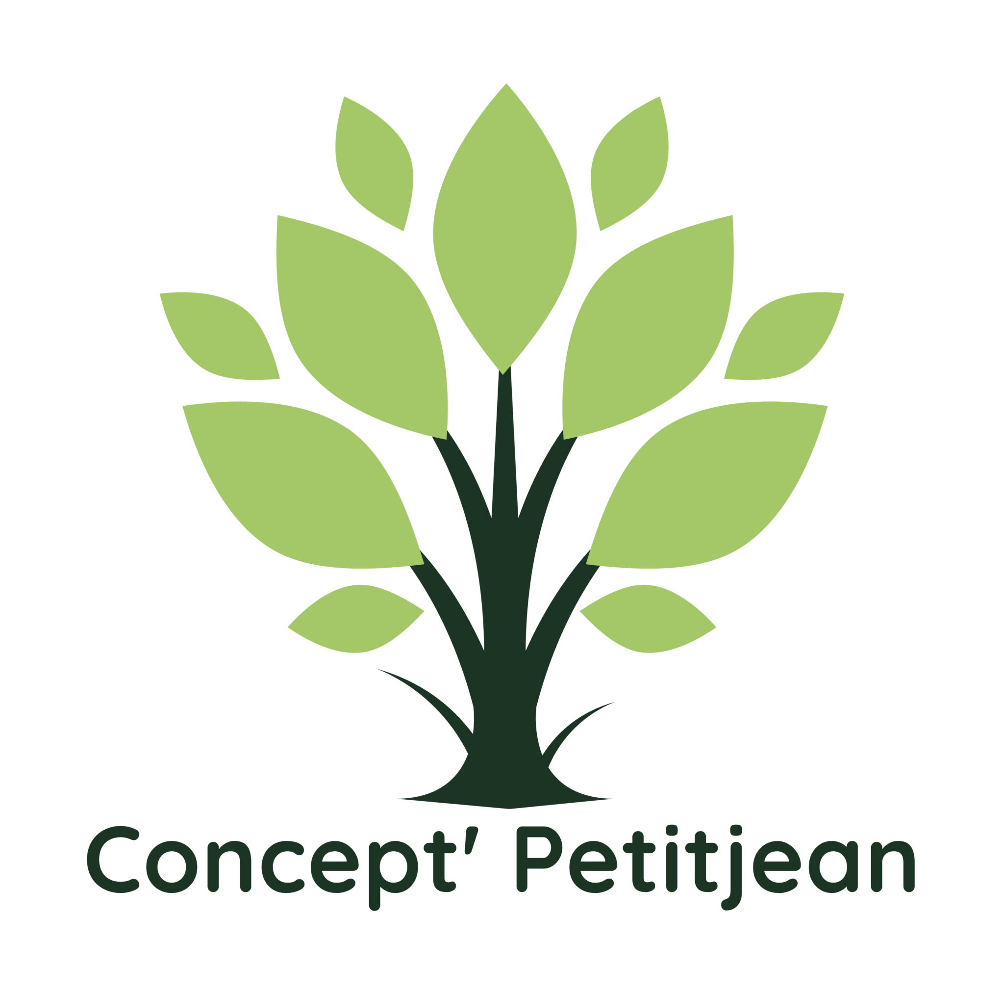 Logo de Concept'Petitjean, société de travaux en Terrassement