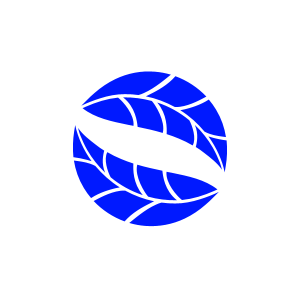 Logo de Bornesup, société de travaux en Construction, murs, cloisons, plafonds
