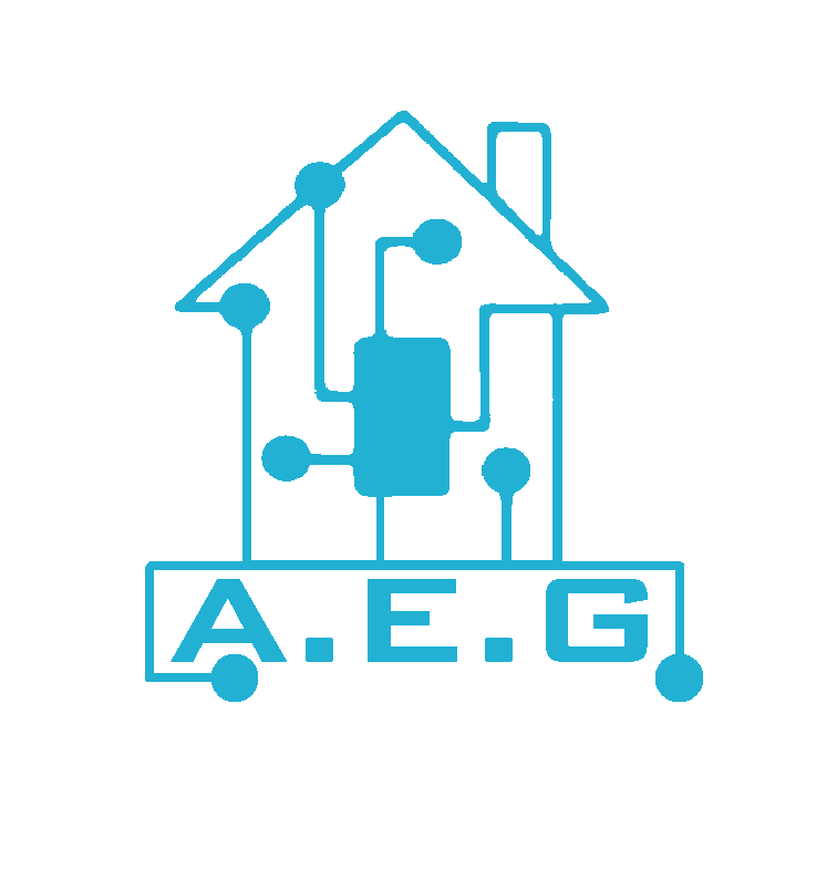 Logo de Applications Electric Generale, société de travaux en Petits travaux en électricité (rajout de prises, de luminaires ...)