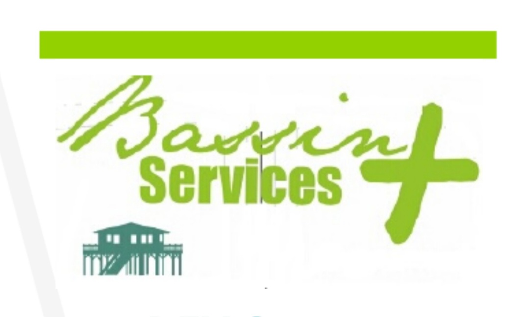 Logo de Bassin services plus, société de travaux en Construction de maison