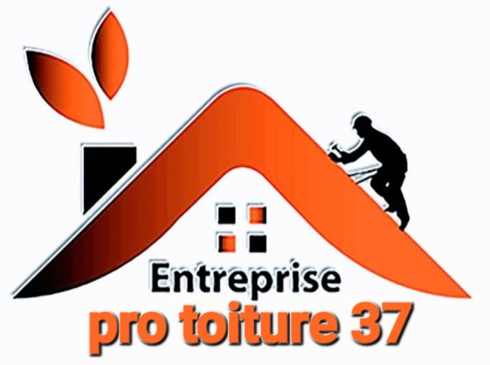 Logo de Trost Tegy, société de travaux en Nettoyage toitures et façades