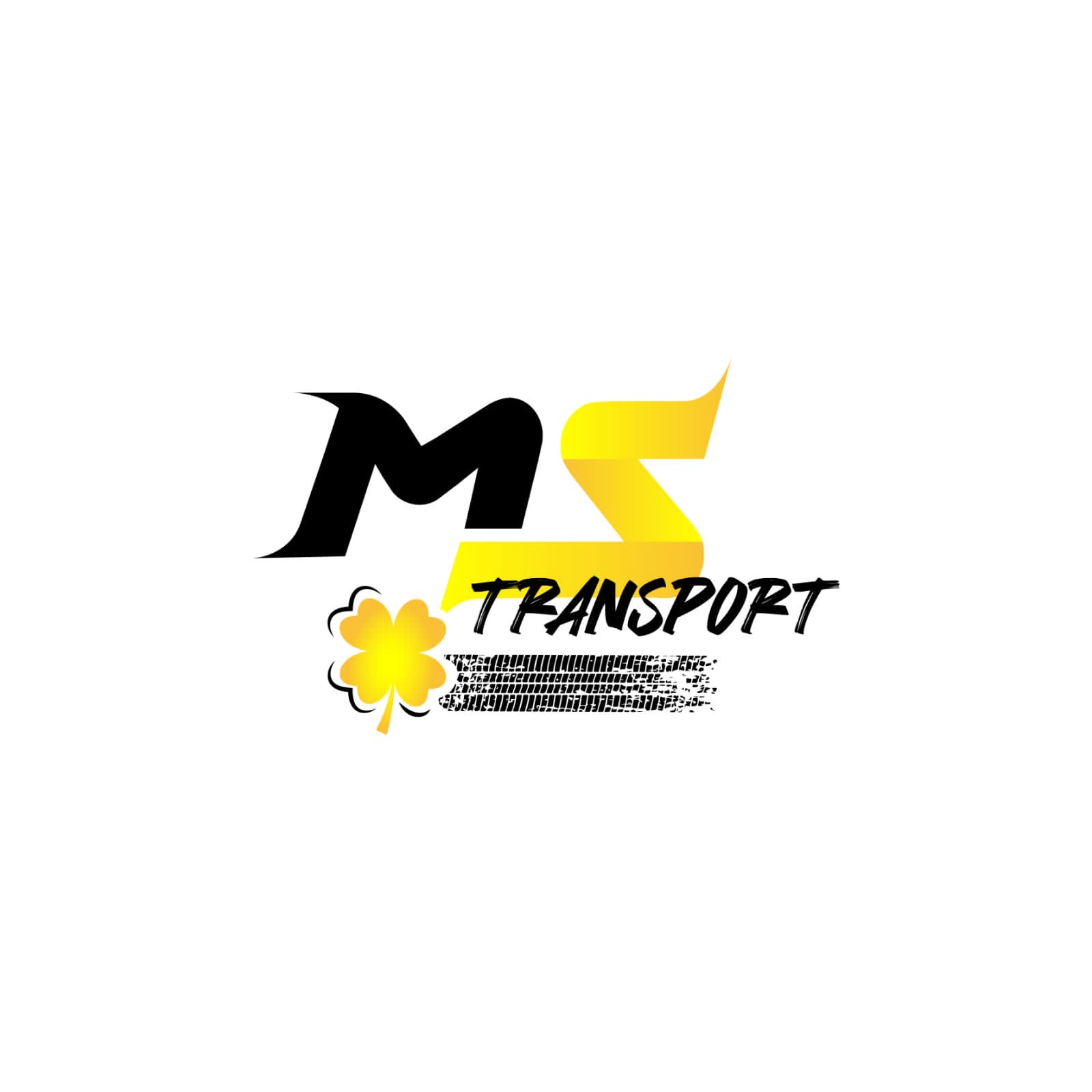 Logo de MS TRANSPORT, société de travaux en bâtiment