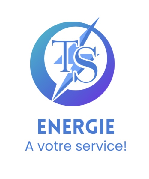 Logo de Ts energie, société de travaux en Construction, murs, cloisons, plafonds en plaques de plâtre