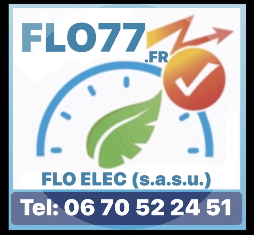 Logo de Flo Elec, société de travaux en Petits travaux en électricité (rajout de prises, de luminaires ...)