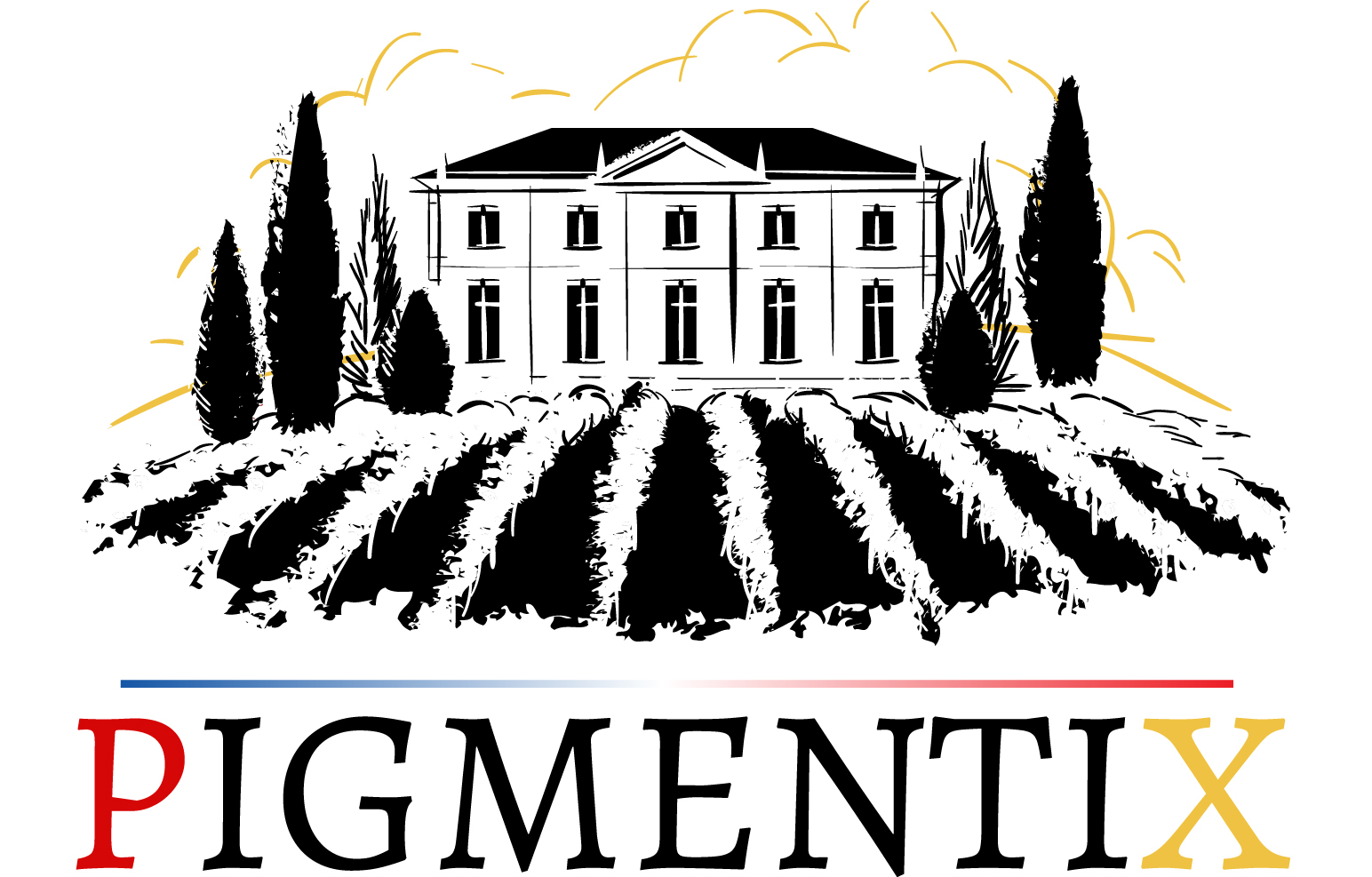 Logo de Pgmentix, société de travaux en Nettoyage toitures et façades
