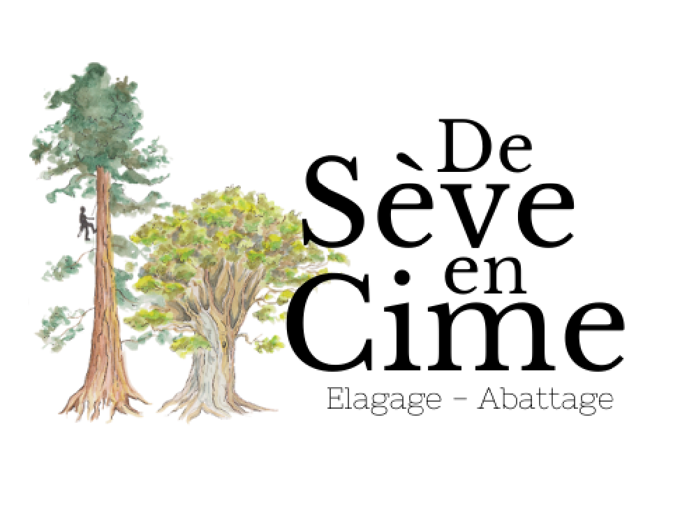 Logo de Bas Pierre-etienne, société de travaux en Abatage d'arbres