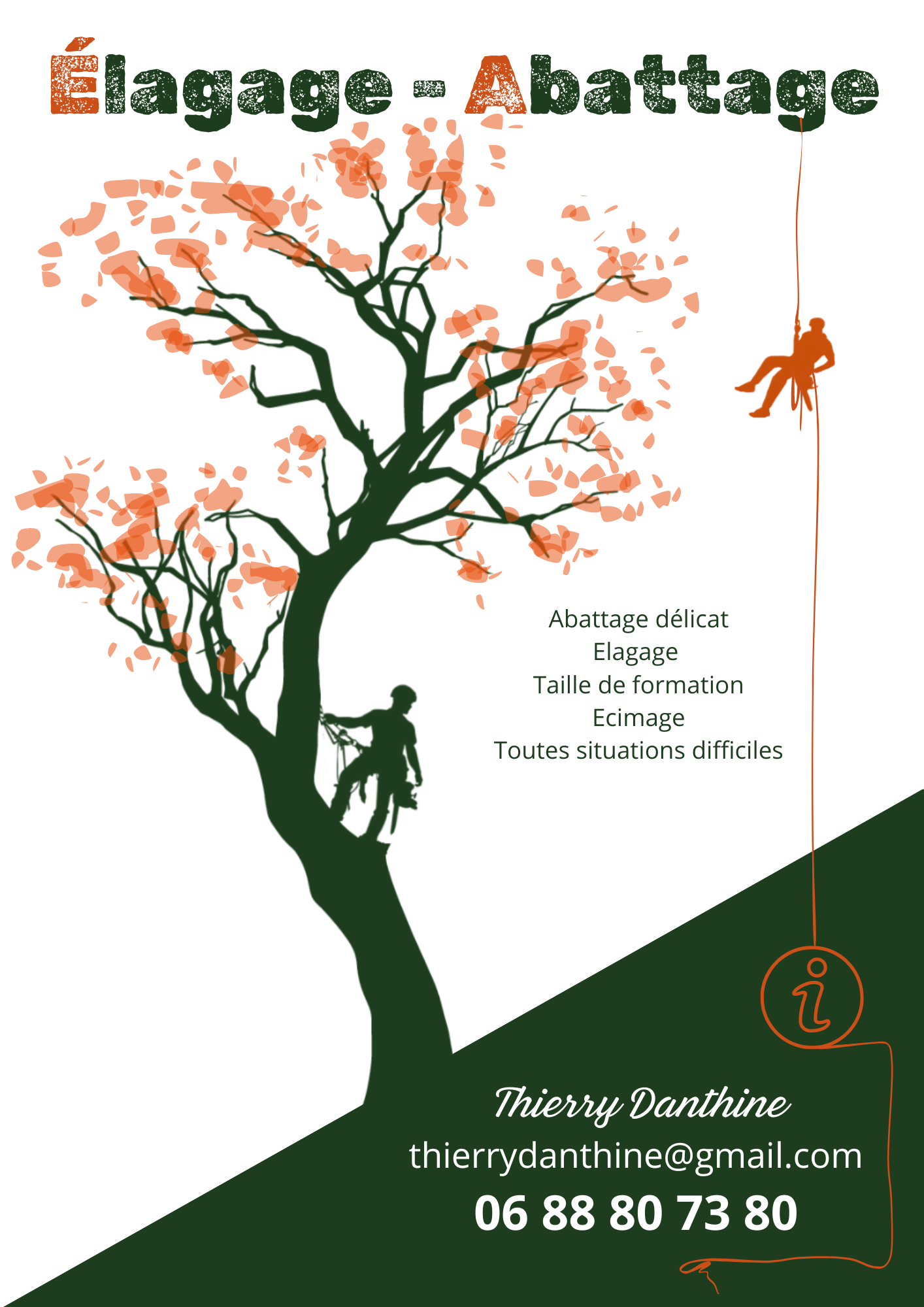 Logo de Thierry Danthine, société de travaux en Abatage d'arbres