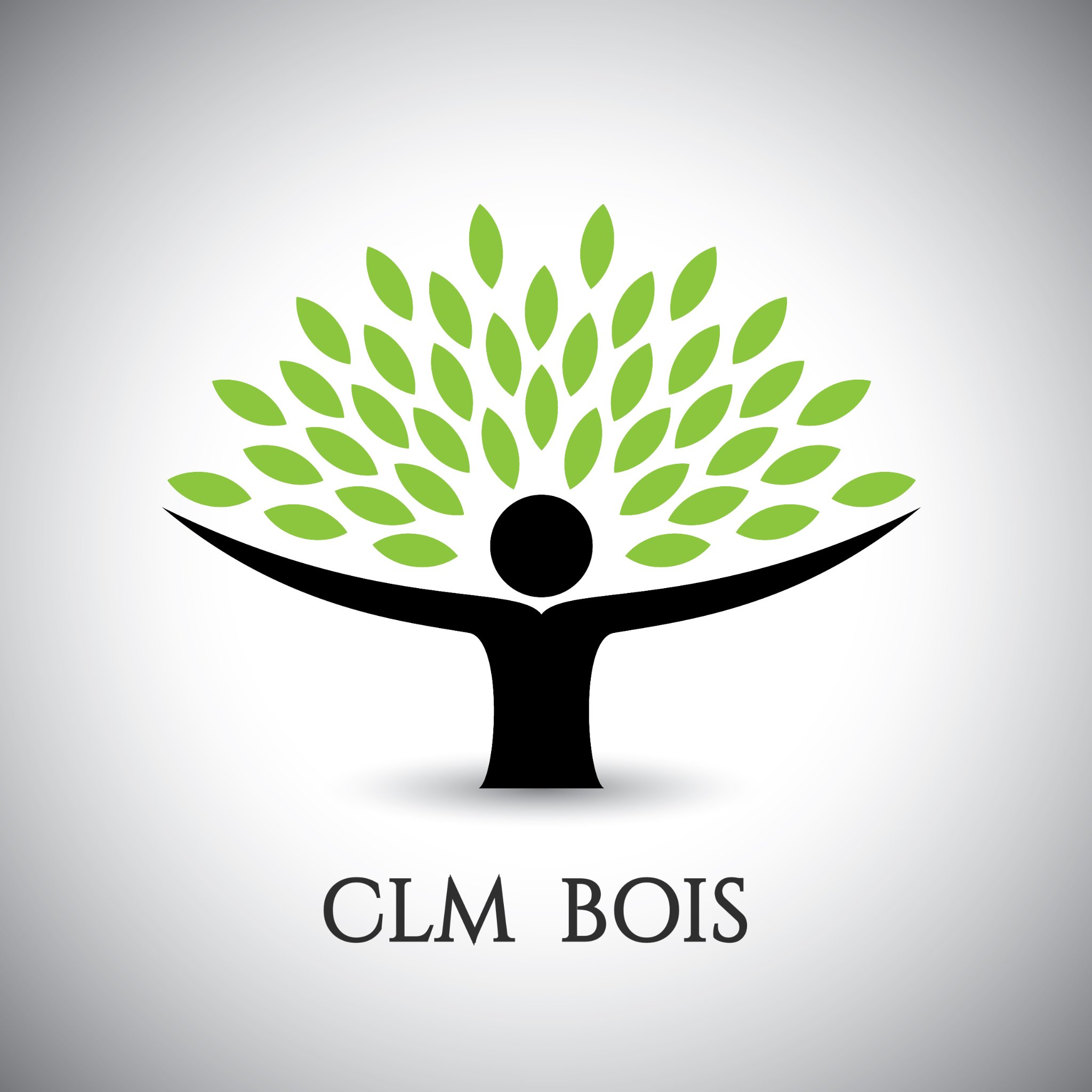 Logo de CLM BOIS, société de travaux en Construction de maison en bois
