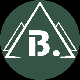 Logo de BATISSE, société de travaux en Fourniture et pose de carrelage