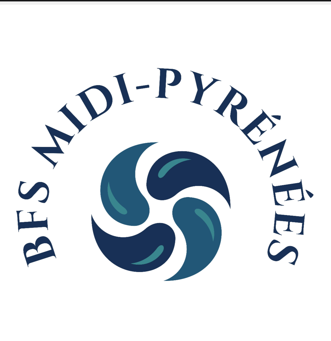 Logo de BFS MIDI-PYRENEES, société de travaux en Création complète de salle de bains