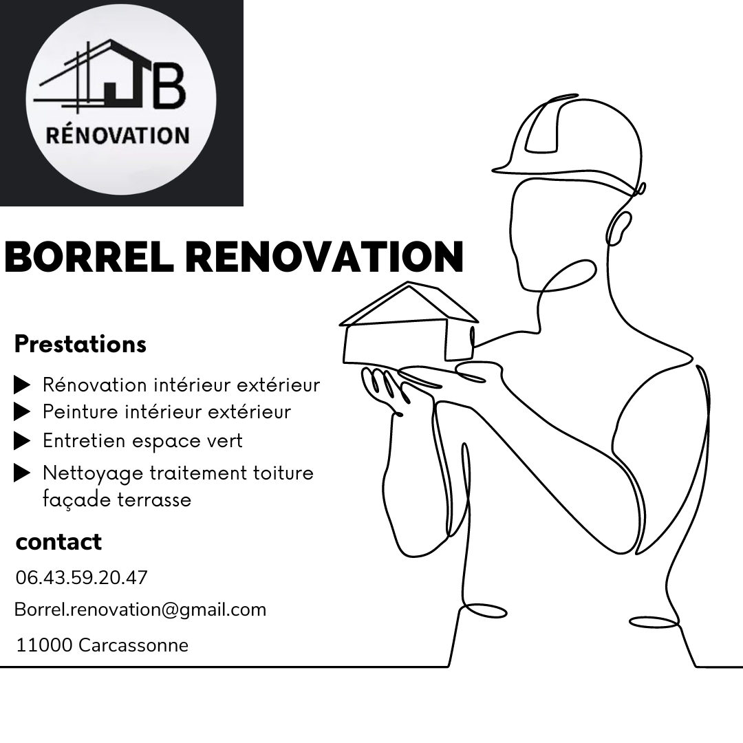 Logo de borrel renovation, société de travaux en Décrassage ou démoussage de toiture