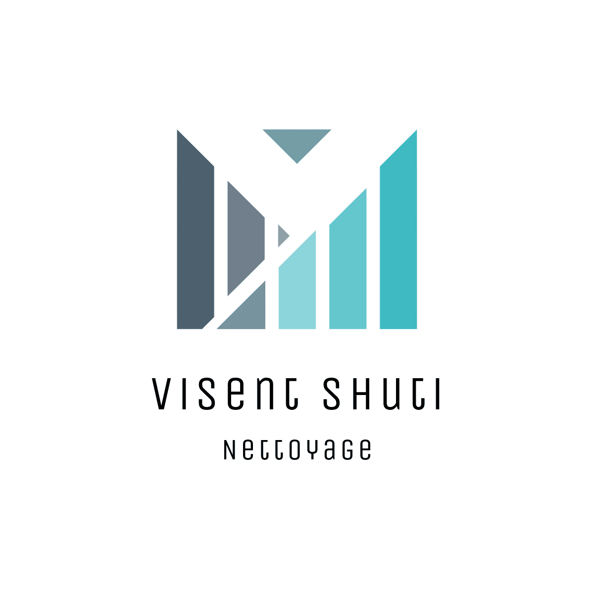 Logo de visent shuti, société de travaux en Nettoyage de vitre