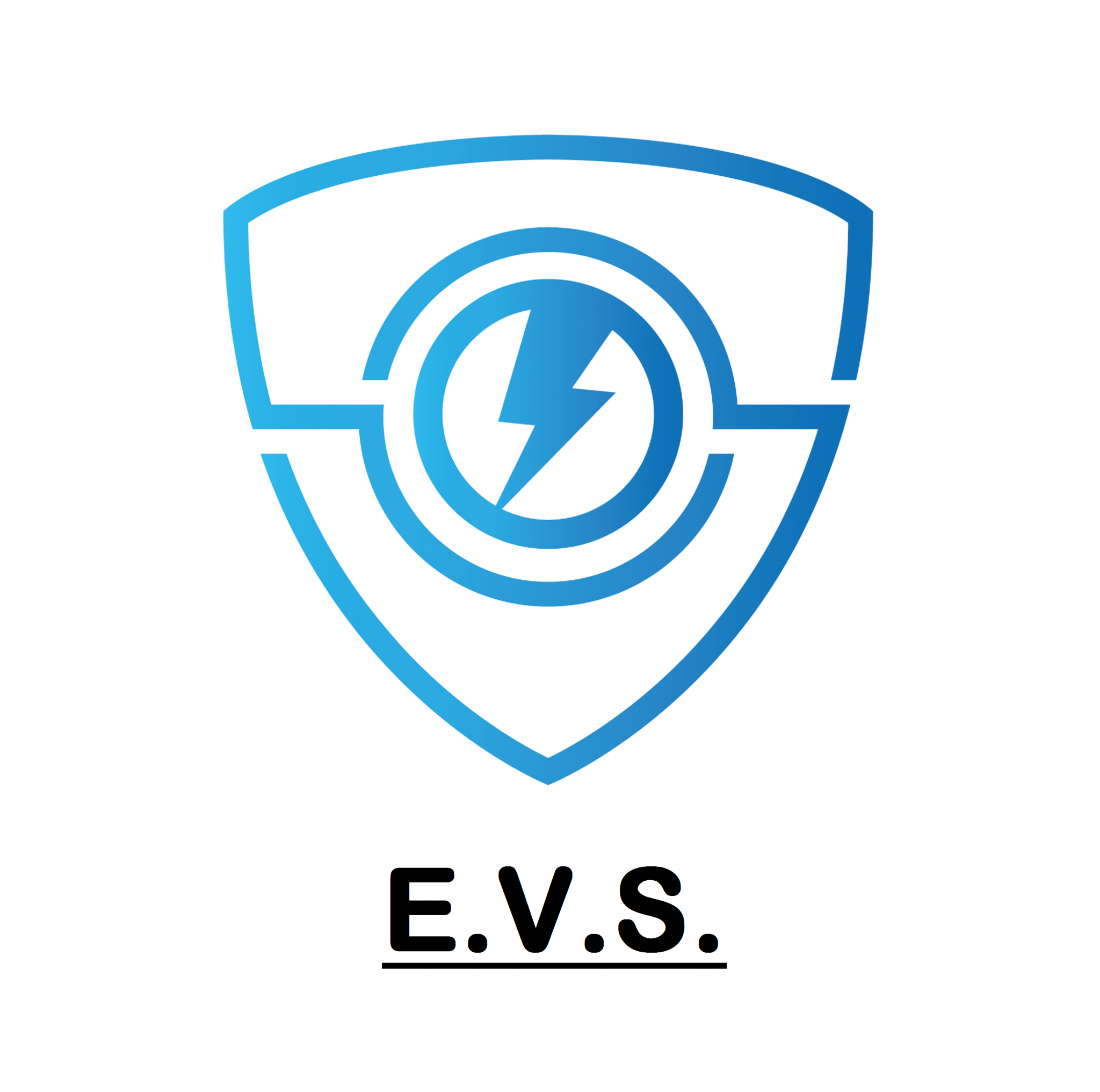 Logo de E.V.S, société de travaux en Petits travaux en électricité (rajout de prises, de luminaires ...)