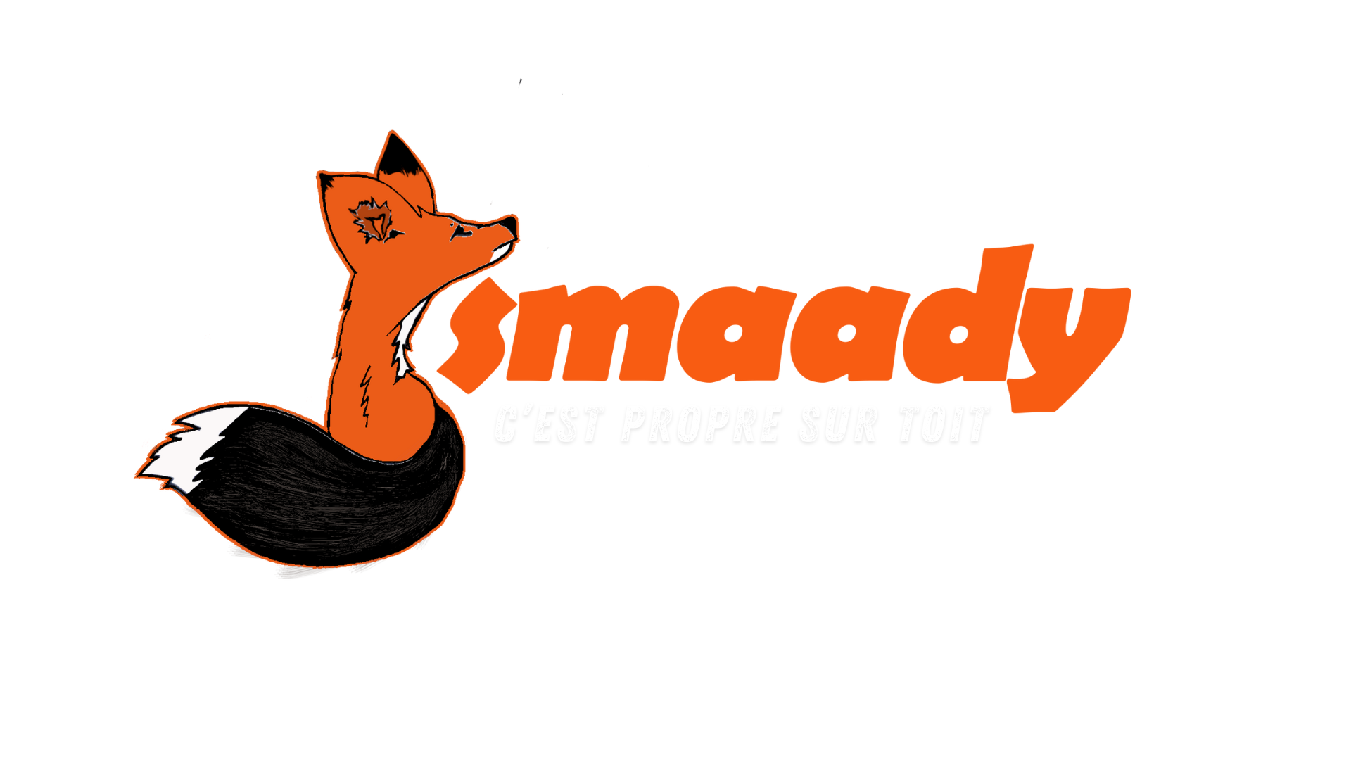 Logo de Smaady, société de travaux en Dépannage de toiture
